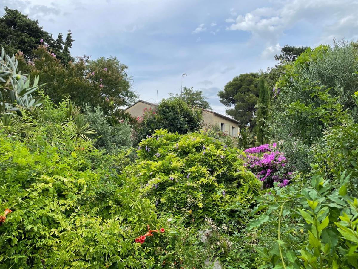 Villa Leona Clim Park Bollène Eksteriør bilde